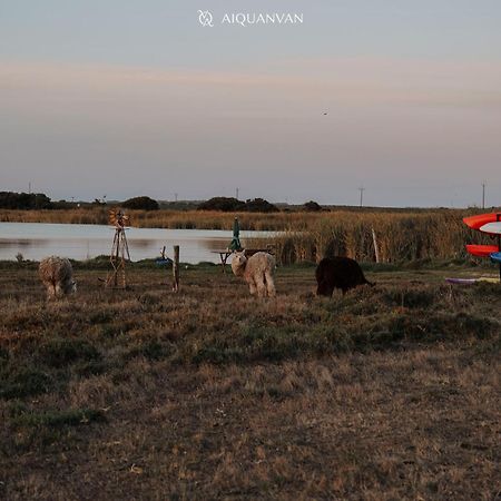 Coorong Island Retreat - Farm Stay At Pet Friendly Property Meningie Luaran gambar