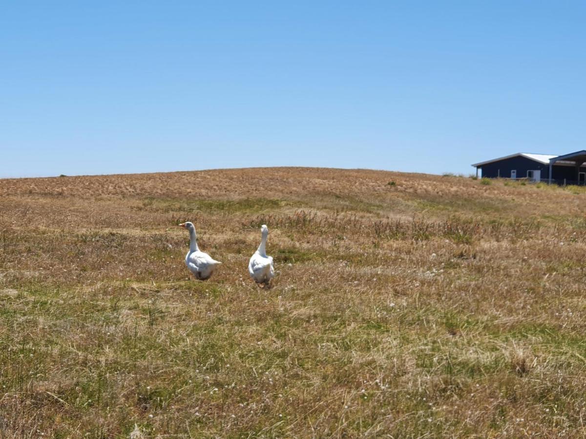 Coorong Island Retreat - Farm Stay At Pet Friendly Property Meningie Luaran gambar
