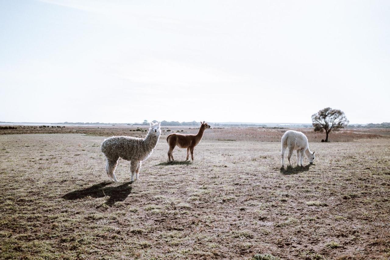 Coorong Island Retreat - Farm Stay At Pet Friendly Property Meningie Luaran gambar