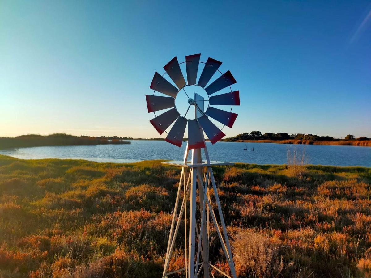Coorong Island Retreat - Farm Stay At Pet Friendly Property Meningie Luaran gambar