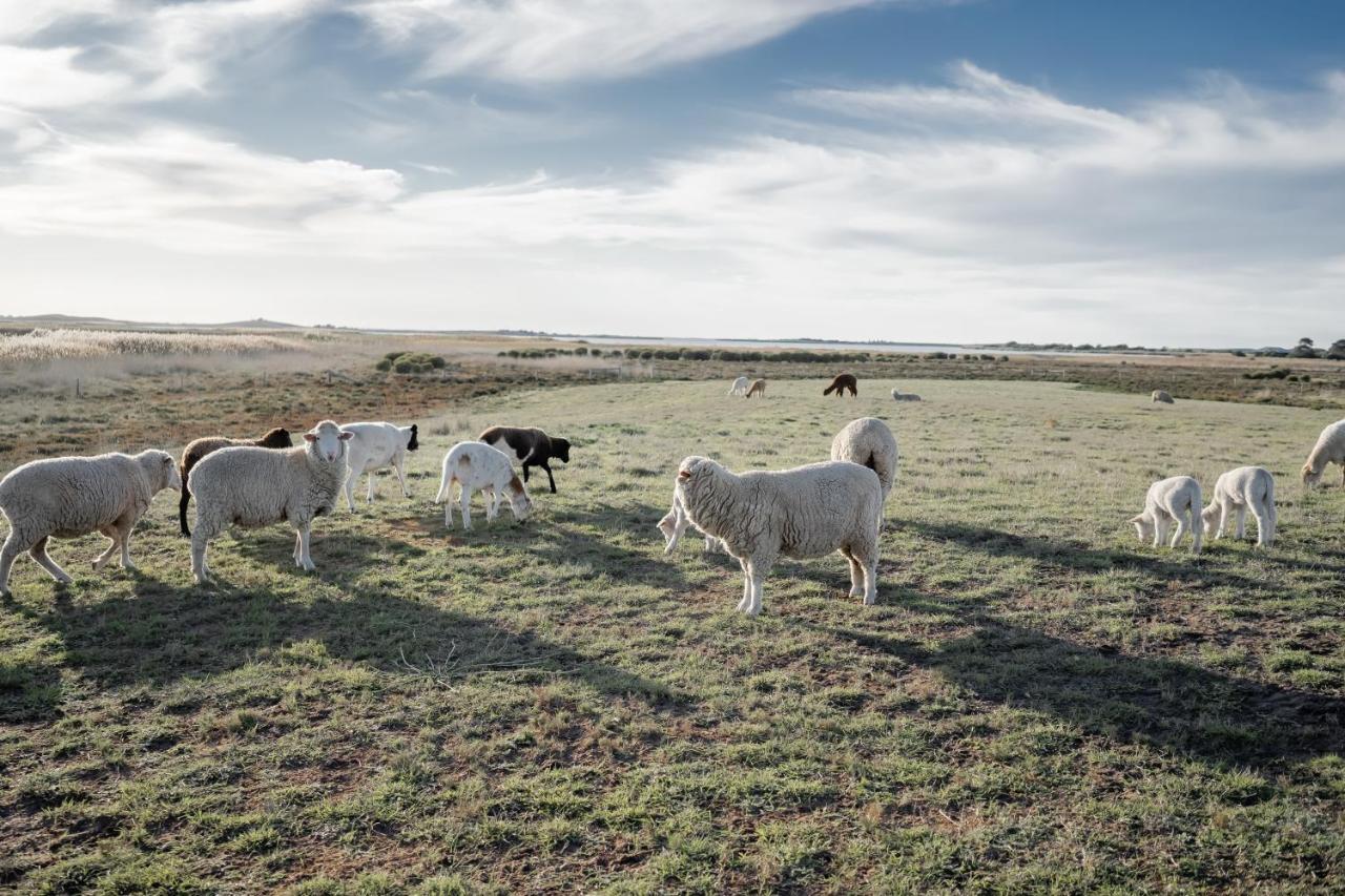 Coorong Island Retreat - Farm Stay At Pet Friendly Property Meningie Luaran gambar